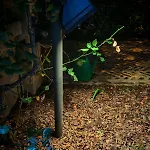 Daphne Experience - Home, Harmony And Garden Apartment