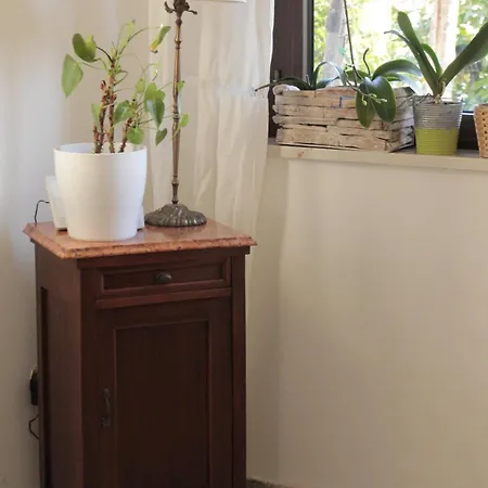 Daphne Experience Apartment