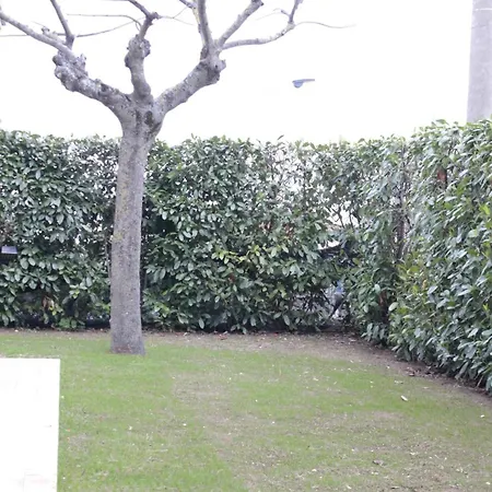 Daphne Experience Apartment Loreto Aprutino