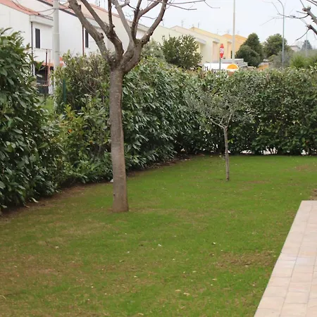 Apartment Daphne Experience - Home, Harmony And Garden