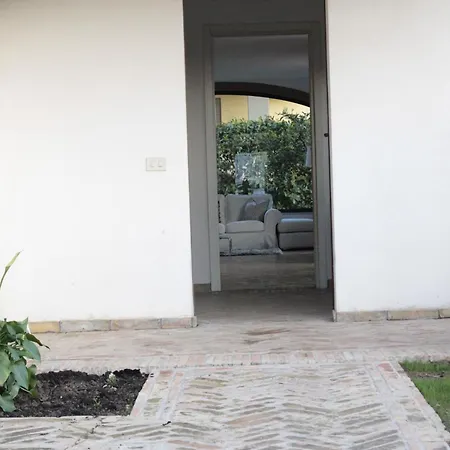 Daphne Experience - Home, Harmony And Garden