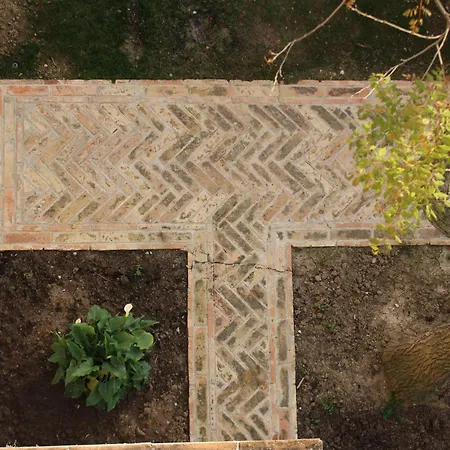 Daphne Experience - Home, Harmony And Garden Loreto Aprutino