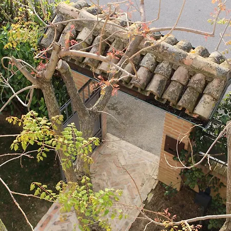 Daphne Experience Loreto Aprutino