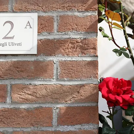 Daphne Experience - Home, Harmony And Garden Apartment