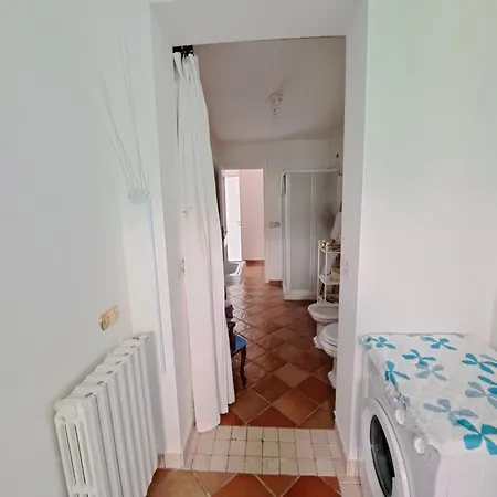 Daphne Experience - Home, Harmony And Garden *