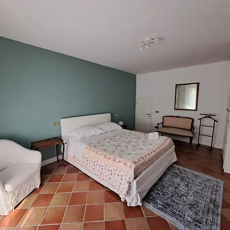 Daphne Experience - Home, Harmony And Garden