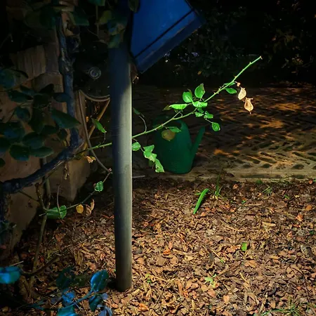 Daphne Experience - Home, Harmony And Garden Apartment