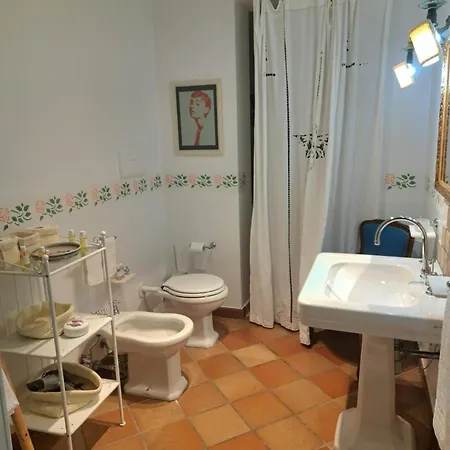 Apartment Daphne Experience *