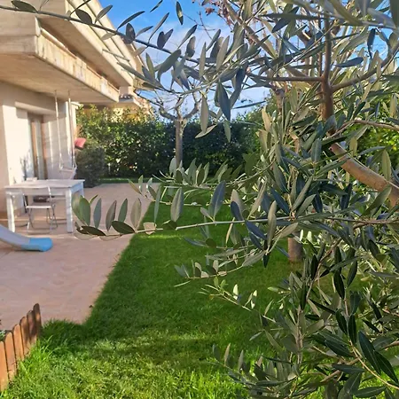 Daphne Experience - Home, Harmony And Garden