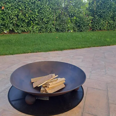 Daphne Experience - Home, Harmony And Garden