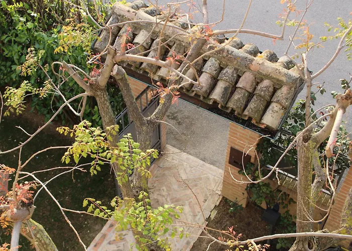 Daphne Experience - Home, Harmony And Garden Loreto Aprutino