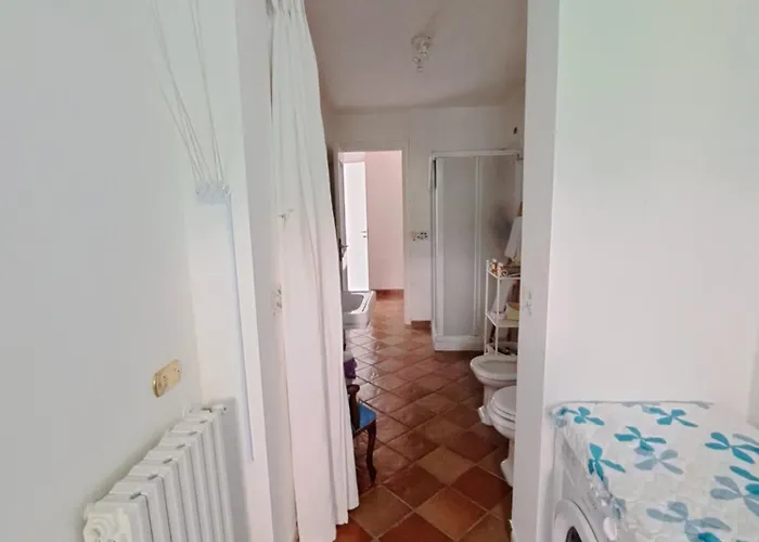 Daphne Experience - Home, Harmony And Garden *