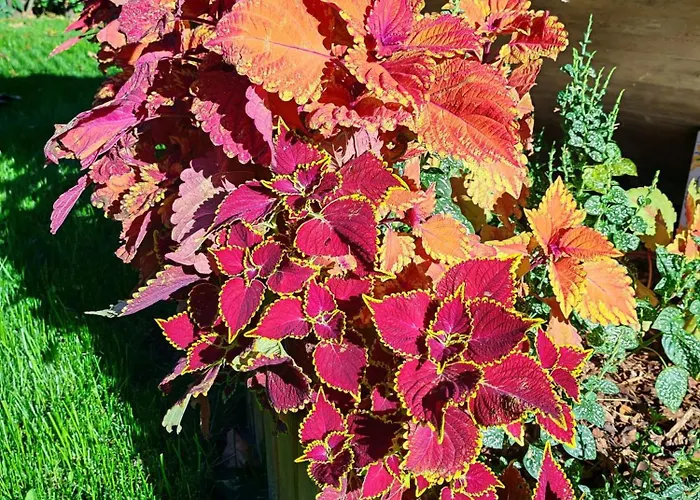 Apartamento Daphne Experience - Home, Harmony And Garden *