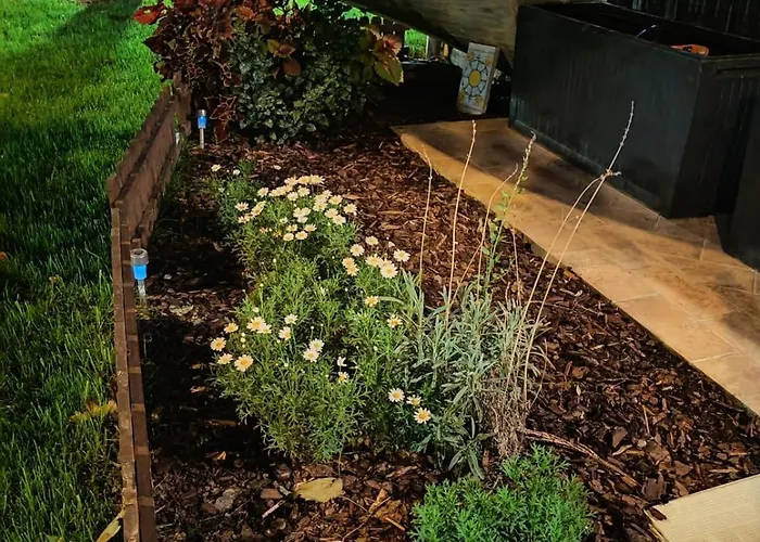 Apartment Daphne Experience - Home, Harmony And Garden