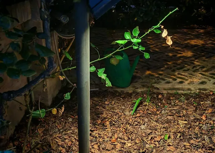 Daphne Experience - Home, Harmony And Garden Apartament