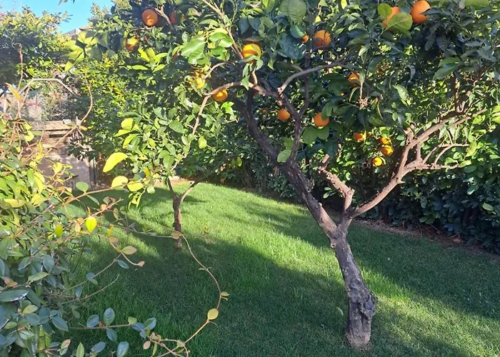 Daphne Experience - Home, Harmony And Garden